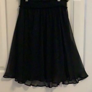 Gorgeous Dressy Sheer Skirt